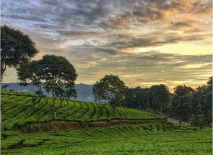 Screenshot 2026-01-27 at 14.23.30