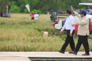 antarafoto-presiden-umumkan-swasembada-pangan-2025-1767805087