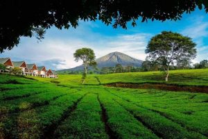 whatsapp-image-2022-02-25-at-135632-66934c0cbeade5e56b2fec27e2f98983-69ab0fb8b317609f509f165efc0f3581