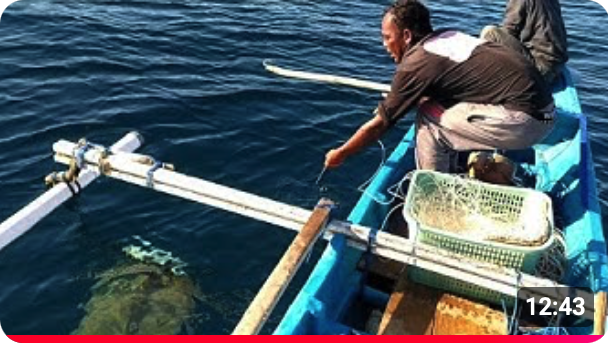 Screenshot 2026-02-05 at 16.45.52