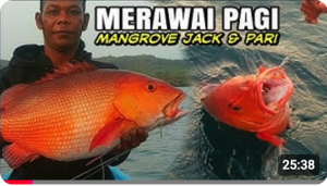 Screenshot 2026-02-07 at 14.13.27