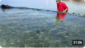 Screenshot 2026-02-07 at 14.17.11