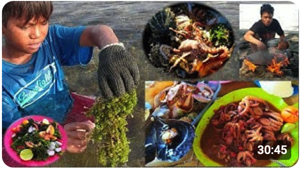 Screenshot 2026-02-07 at 14.41.11