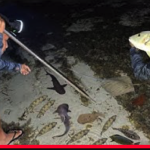 Screenshot 2026-02-09 at 04.51.28