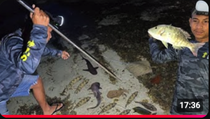 Screenshot 2026-02-09 at 04.51.28